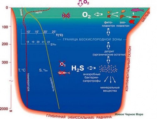 Black sea structure